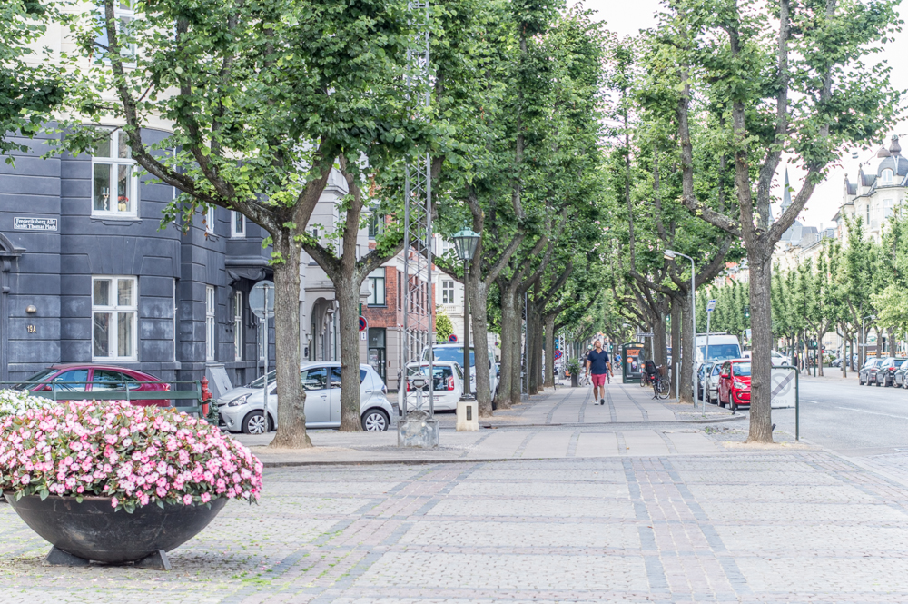 Frederiksberg Allee ist eine der schönsten Straßen in Kopenhagen.