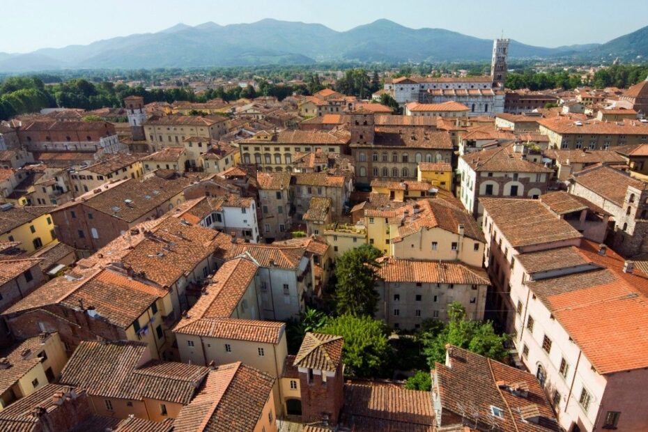 Aerial top panoramic view of historical centre medieval town Lucca in Tuscany with old buildings, typical orange terracotta tiled roofs and mountain range.
