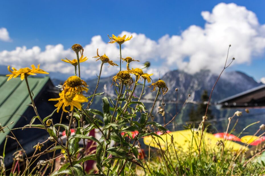 Best Viewpoints in Germany