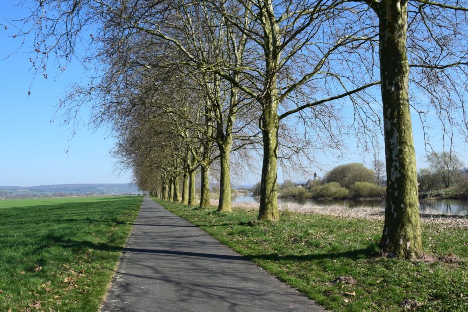 Best Cycling Routes in Germany To Explore